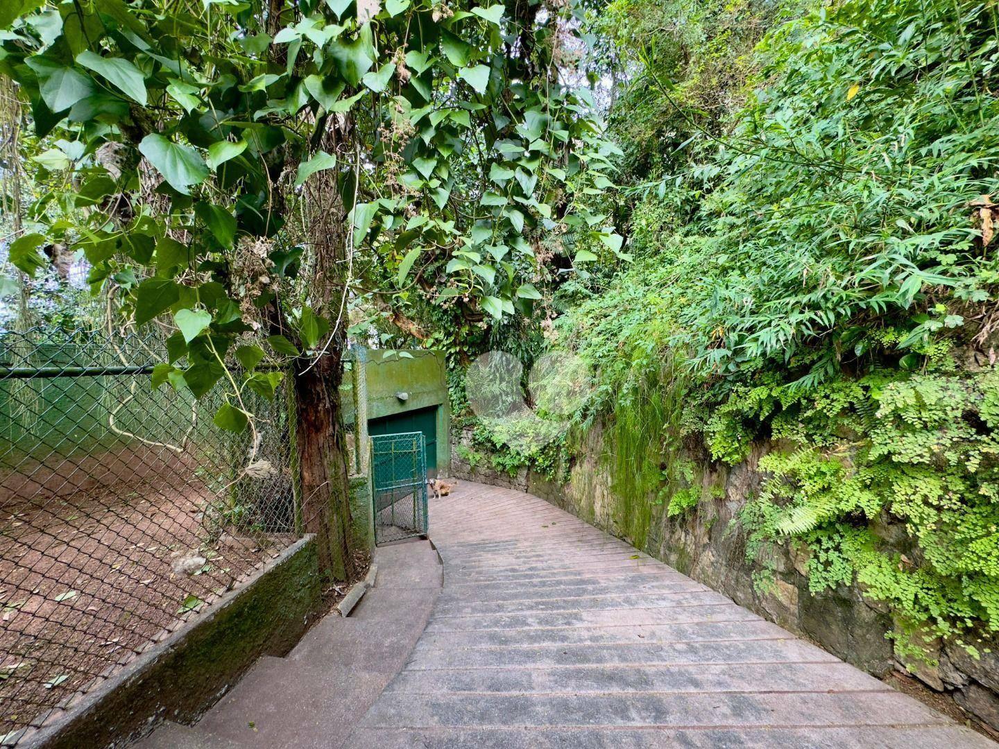 Casa com 3 quartos à venda, 342 m² por R$ 2.100.000 - Cosme Velho - Rio de Janeiro/RJ — foto 2