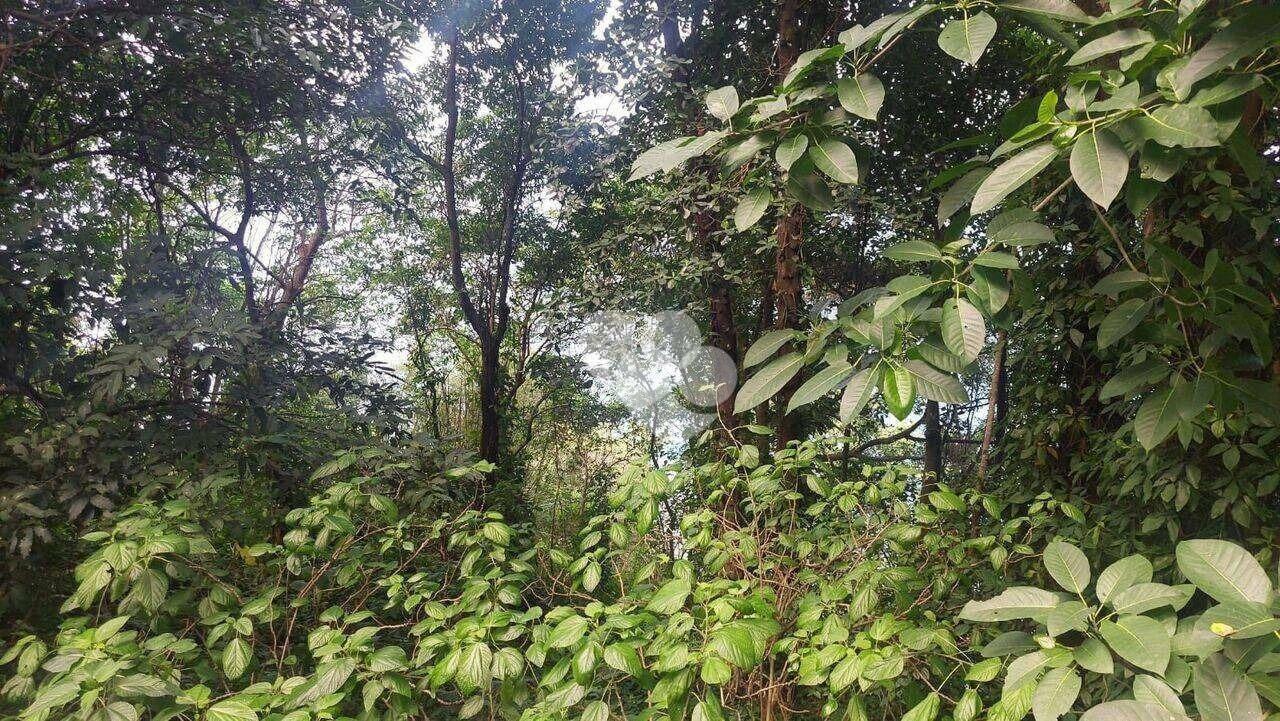Terreno à venda, 1353 m² por R$ 3.500.000,00 - Joá - Rio de Janeiro/RJ — foto 2
