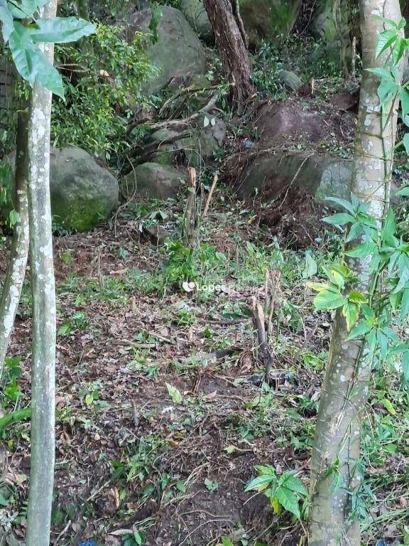 Terreno à venda, 4582 m² por R$ 2.900.000 - Camorim - Rio de Janeiro/RJ — foto 2