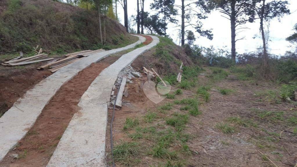 Terreno à venda, 1690000 m² por R$ 25.000.000,00 - • Itaipava - Petrópolis/RJ — foto 3
