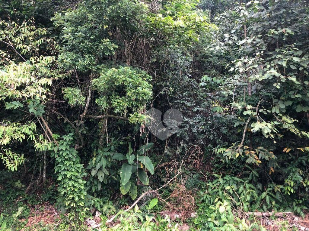 Terreno à venda, 550 m² por R$ 3.149.000,00 - Alto da Boa Vista - Rio de Janeiro/RJ — foto 2