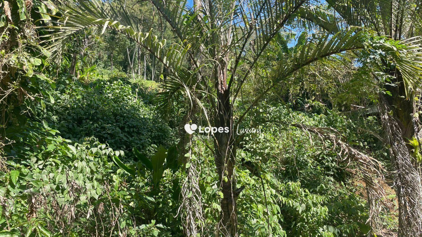 Terreno à venda, 690 m² por R$ 2.906.043,00 - Piraquara (Cunhambebe) - Angra dos Reis/RJ — foto 2